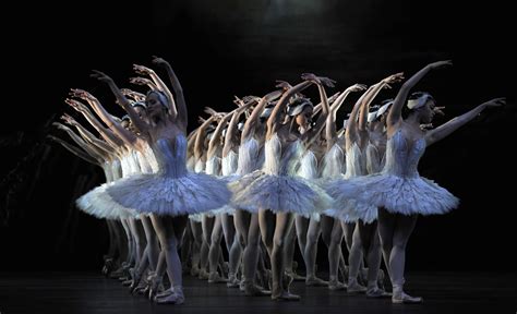 swan lake ballet information.